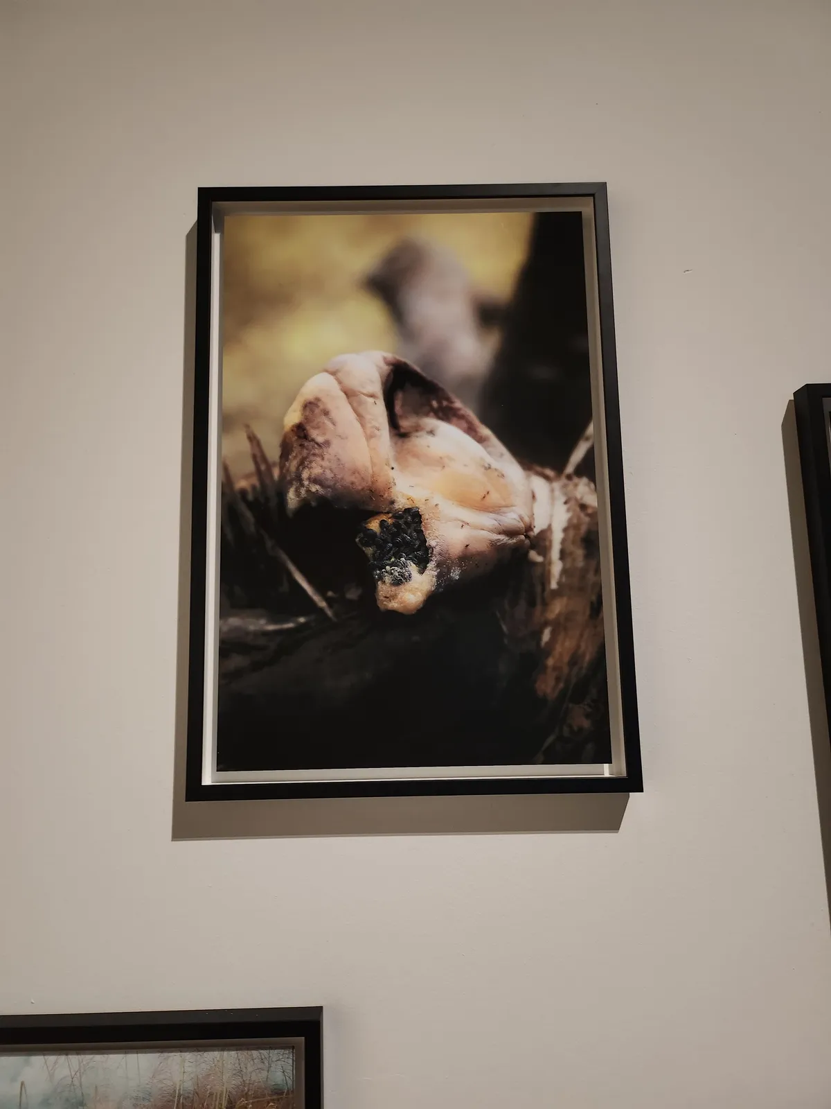 African Photography Gallery Image 155